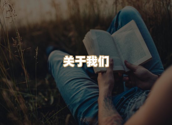 关于选弦电子书